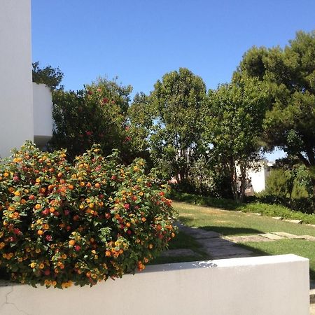 Cheerfulway Alto Do Moinho Apartamentos Albufeira Exterior foto